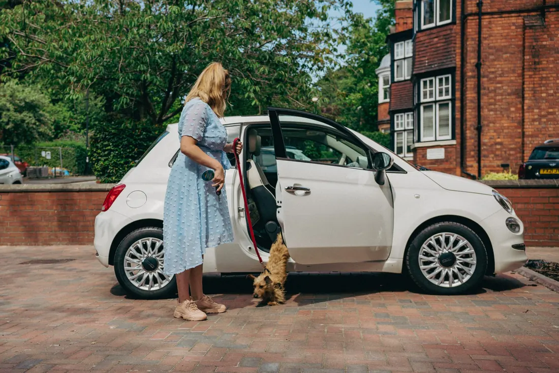 The driveway with a parked car